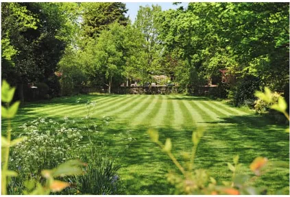 Trusted landscape design in Pensacola, FL by A Plus Precision Lawn Care