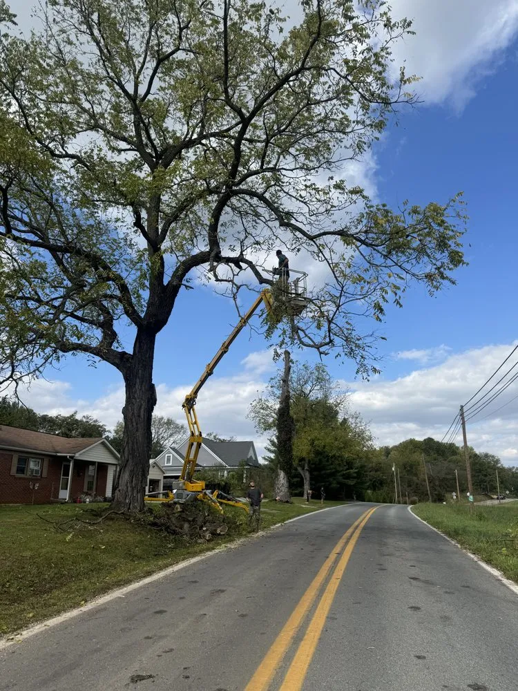 Trusted yard cleanup service for residential properties in High View, WV by A Plus Property Management
