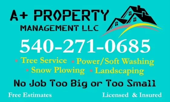Affordable yard cleanup service for homes in High View, WV by A Plus Property Management