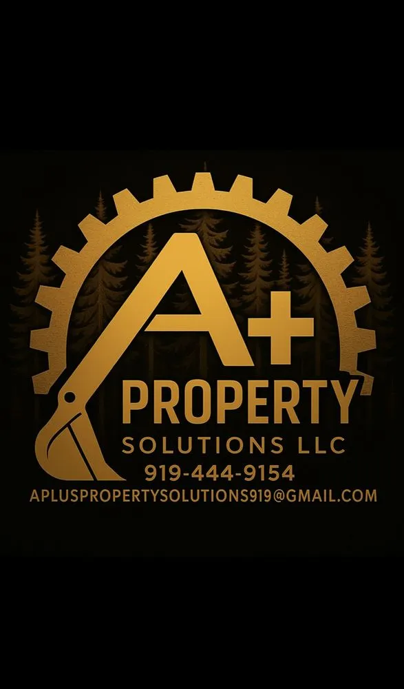 Expert residential landscaping in Willow Spring, NC by A Plus Property Solutions