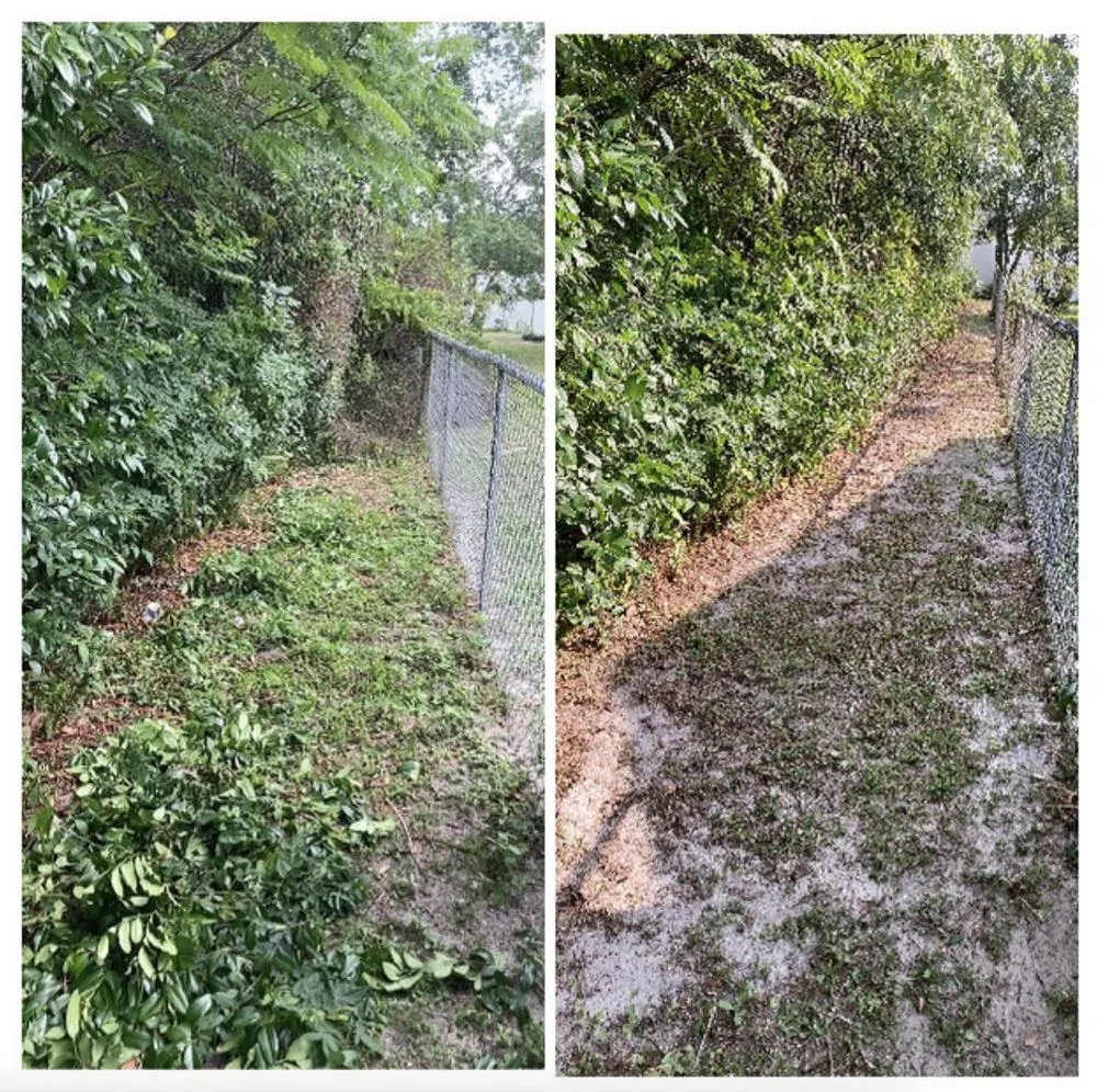 Expert yard cleanup service near you in Deltona, FL by A Plus Pros