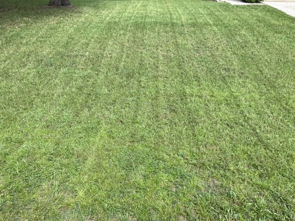 Top-rated outdoor landscaping with custom design in Deltona, FL by A Plus Pros