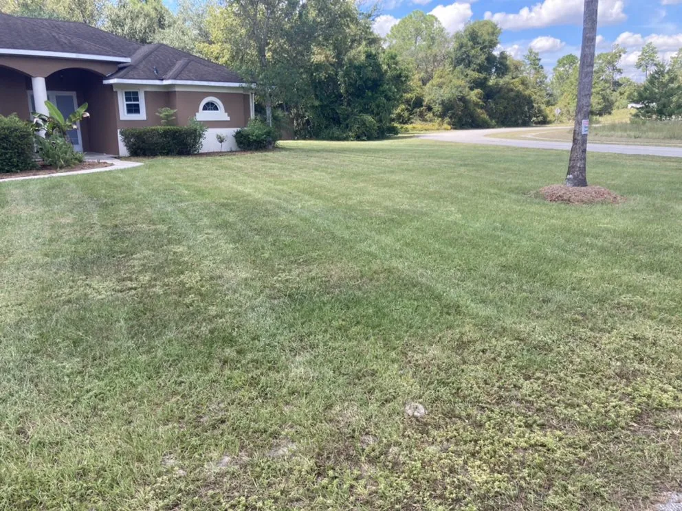 Local landscape installation experts serving Deltona, FL - A Plus Pros