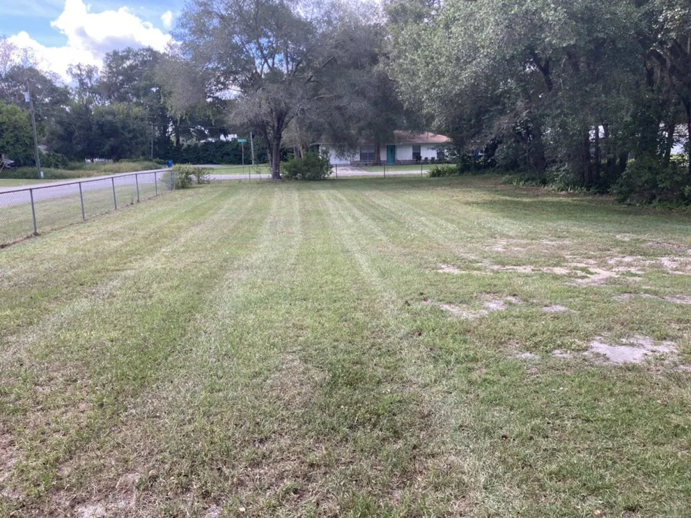 Professional yard maintenance in Deltona, FL - A Plus Pros