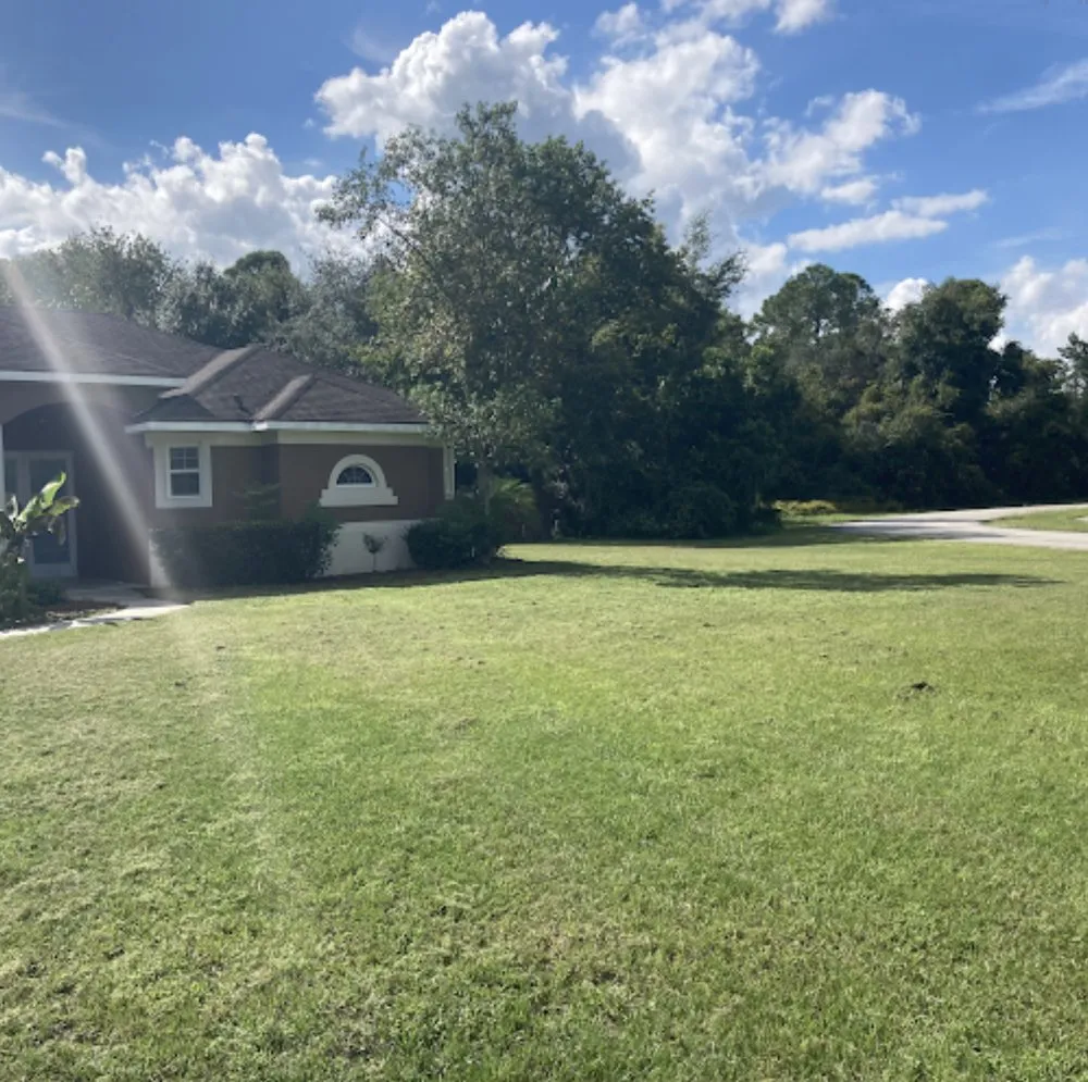 Top-rated outdoor landscaping in Deltona, FL by A Plus Pros