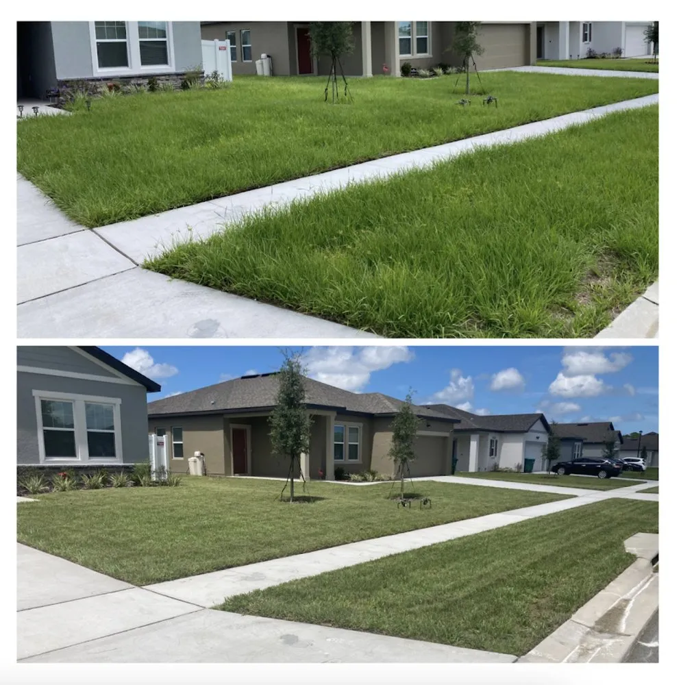 Reliable residential landscaping in Deltona, FL - A Plus Pros