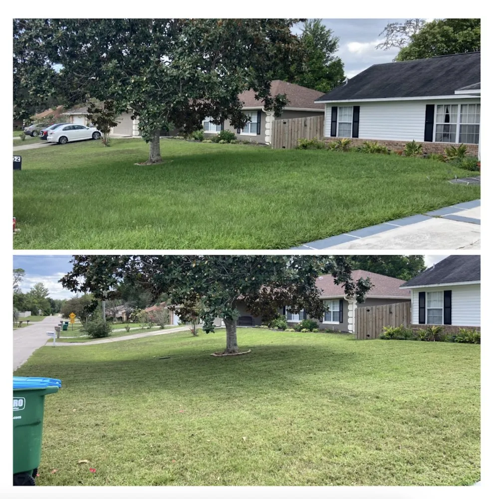 Top-rated landscape installation experts serving Deltona, FL - A Plus Pros