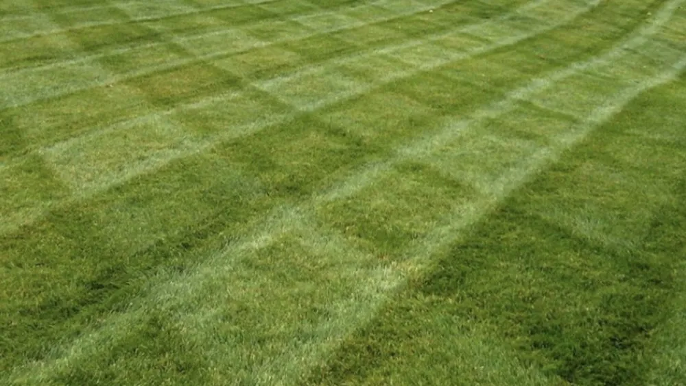 Affordable landscape design for homes across Deltona, FL - A Plus Pros