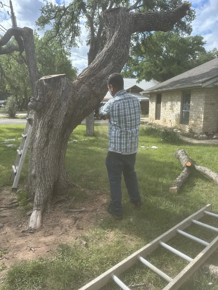 Local lawn mowing service experts serving Austin, TX - A Plus Services