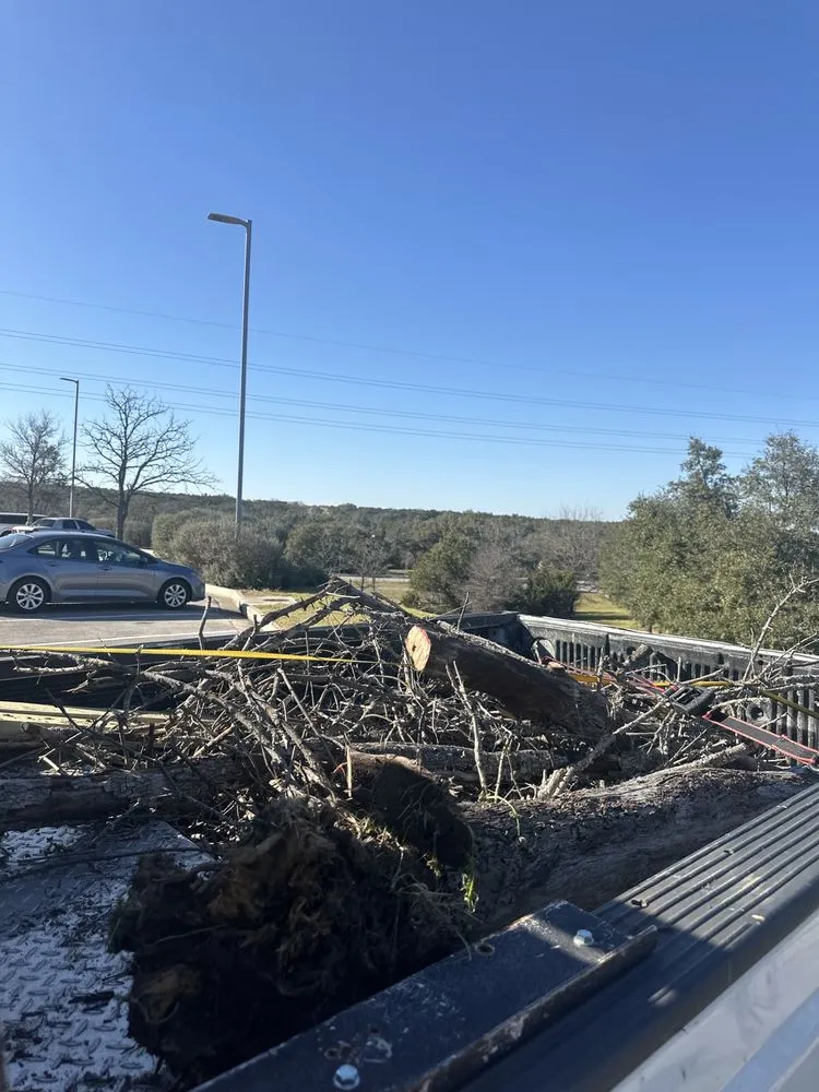 Local garden landscaping in Austin, TX by A Plus Services