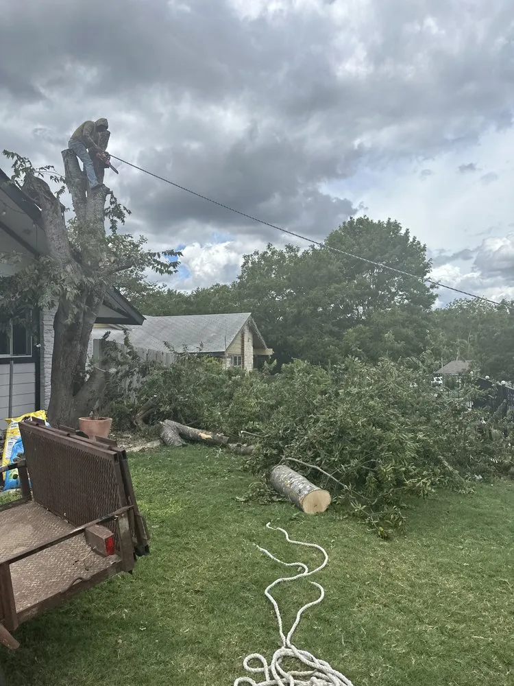 Affordable lawn mowing service in Austin, TX - A Plus Services