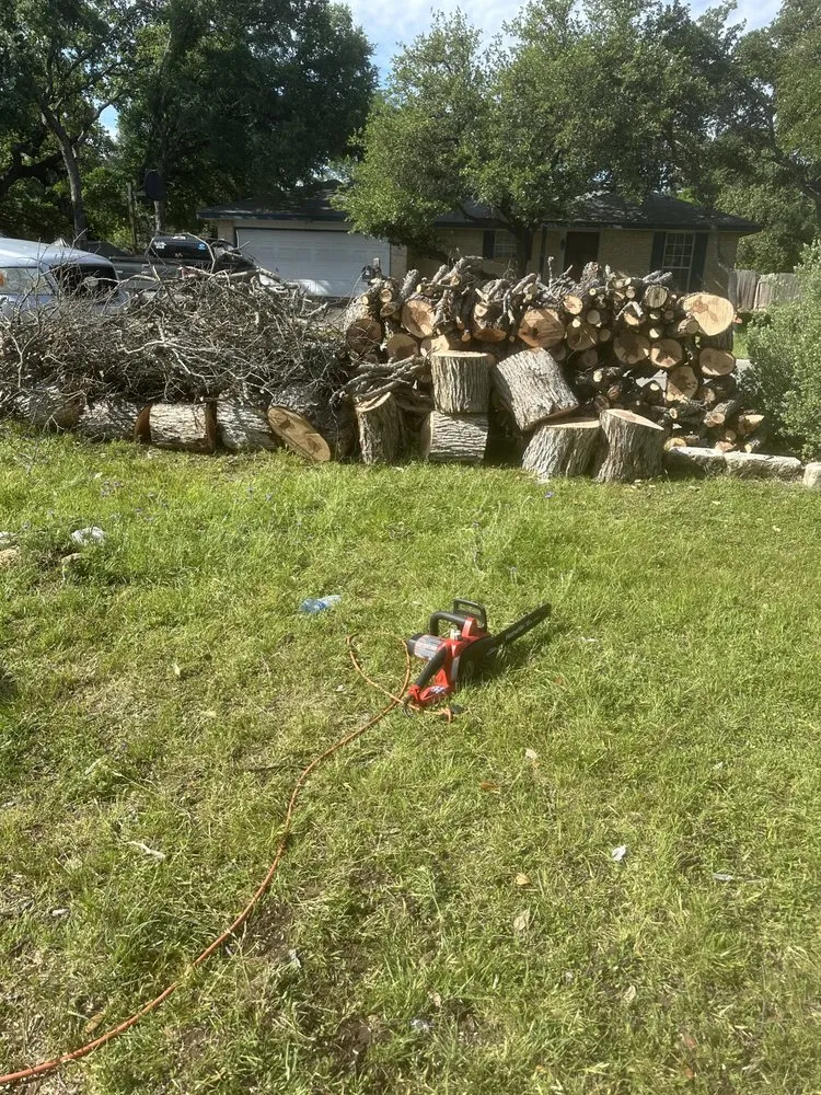 Custom lawn care service in Austin, TX by A Plus Services