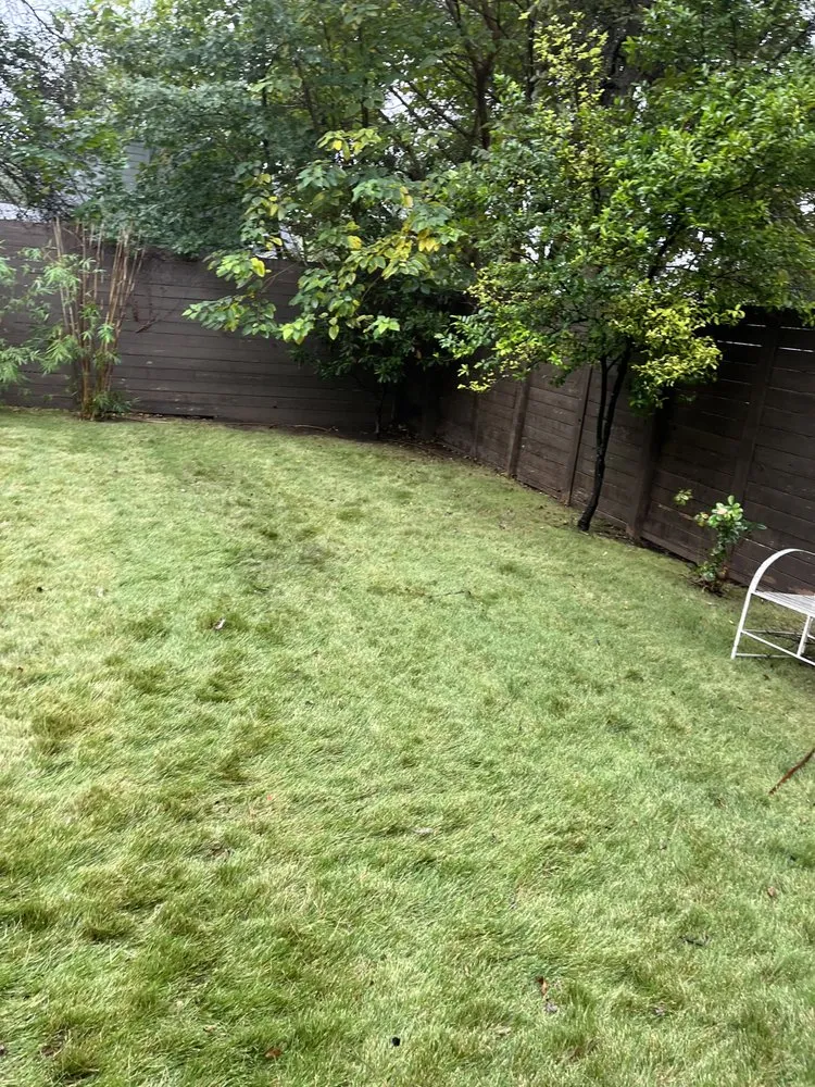 Reliable yard maintenance for beautiful yards in Austin, TX by A Plus Services