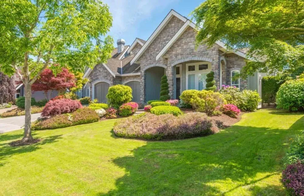 Expert yard cleanup service experts serving Tracy, CA - A Plus Solutions Landscape