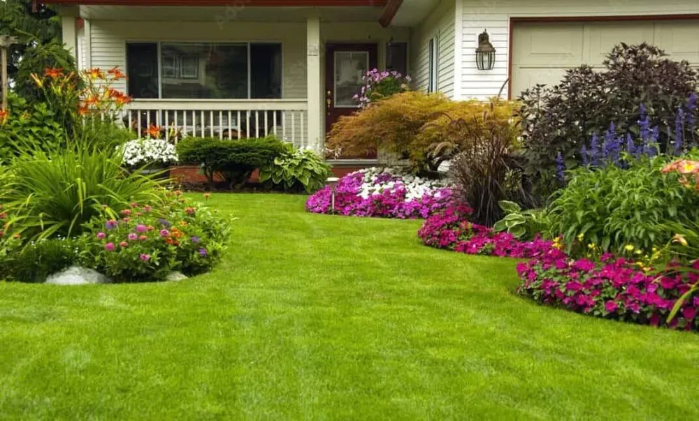 Top-rated yard maintenance experts serving Tracy, CA - A Plus Solutions Landscape