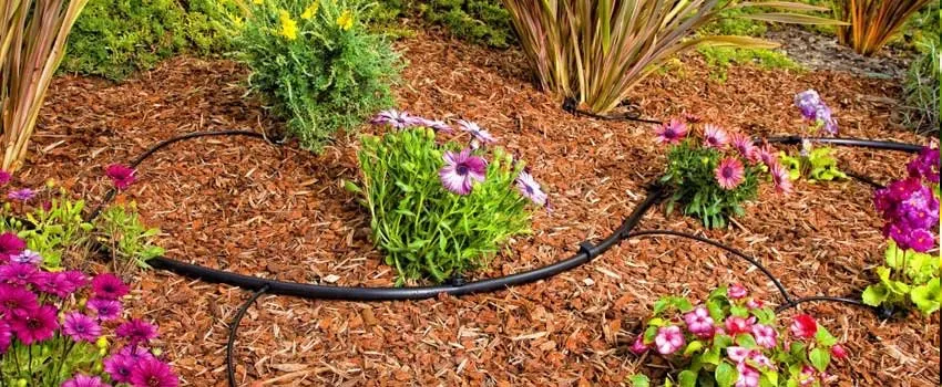 Trusted lawn mowing service for beautiful yards across Crestline, CA - A Plus Sprinkler & Landscape