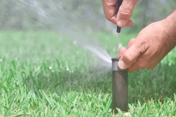Trusted yard cleanup service in Crestline, CA - A Plus Sprinkler & Landscape