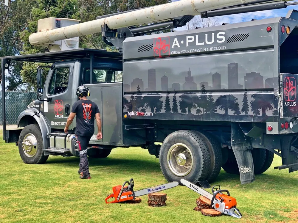 Trusted outdoor landscaping experts serving Murray, UT - A Plus Tree