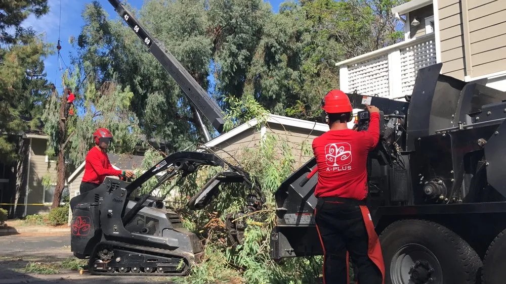 Top-rated garden landscaping near you across Murray, UT - A Plus Tree