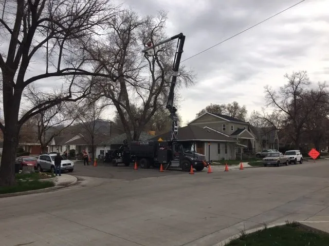 Expert lawn care service in Murray, UT - A Plus Tree