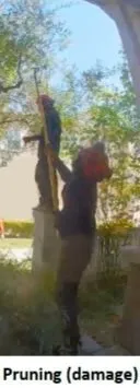 Top-rated lawn mowing service in Murray, UT by A Plus Tree