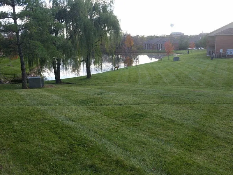 Professional garden landscaping for residential properties in Louisville, KY by A Plush Lawn
