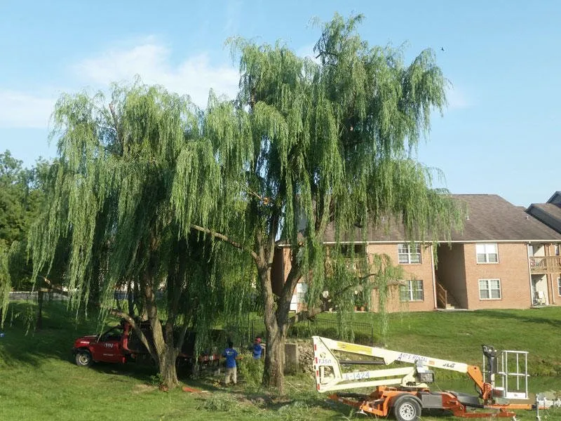 Professional outdoor landscaping for beautiful yards across Louisville, KY - A Plush Lawn