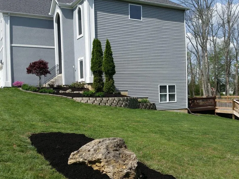 Expert yard cleanup service in Louisville, KY by A Plush Lawn