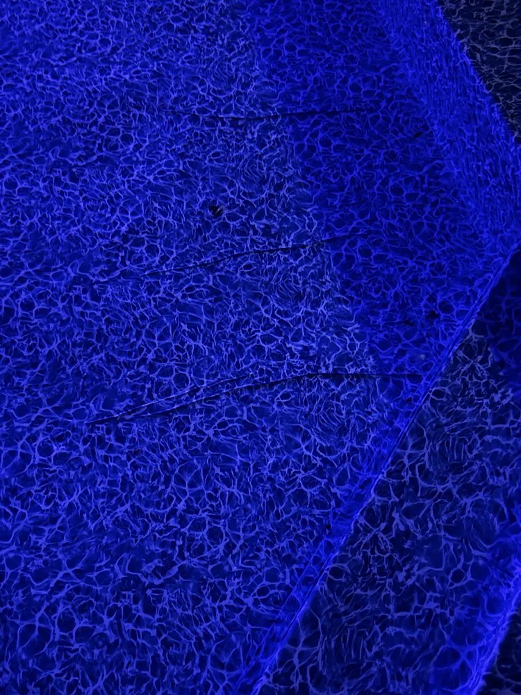 Top-rated garden landscaping in Maplewood, MN by A Pool Day