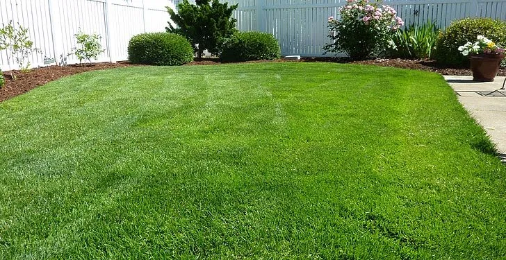 Reliable yard maintenance with custom design across West Palm Beach, FL - A+ Property Management