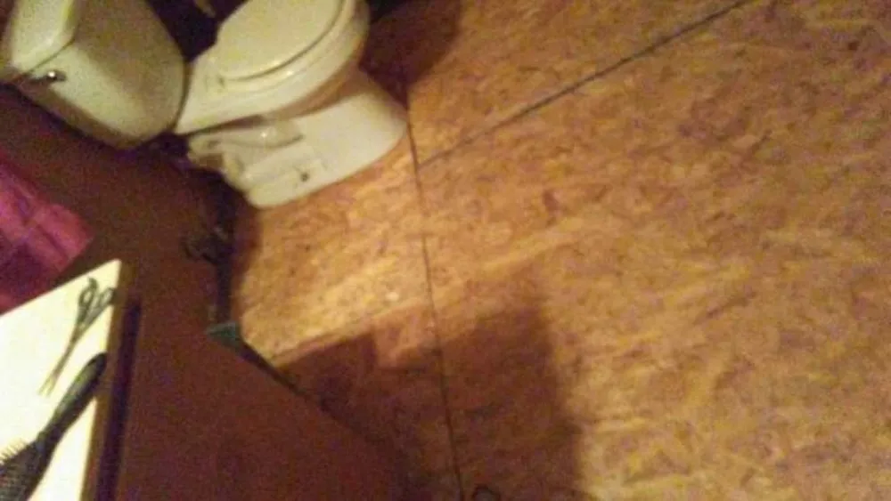 Reliable yard cleanup service in Auburn, ME - A Property Solution of Maine