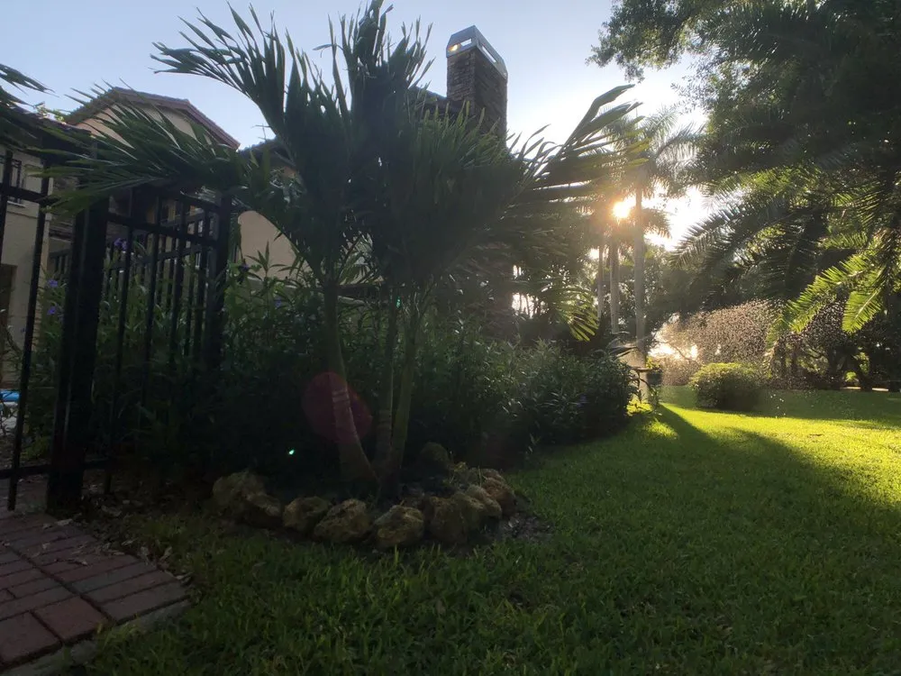 Professional yard maintenance experts serving Ruskin, FL - A Quality Plant