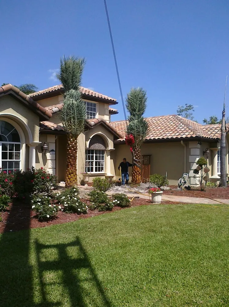 Expert lawn care service experts serving Ruskin, FL - A Quality Plant