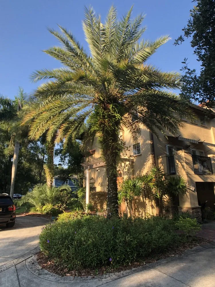 Expert landscape installation for residential properties in Ruskin, FL by A Quality Plant