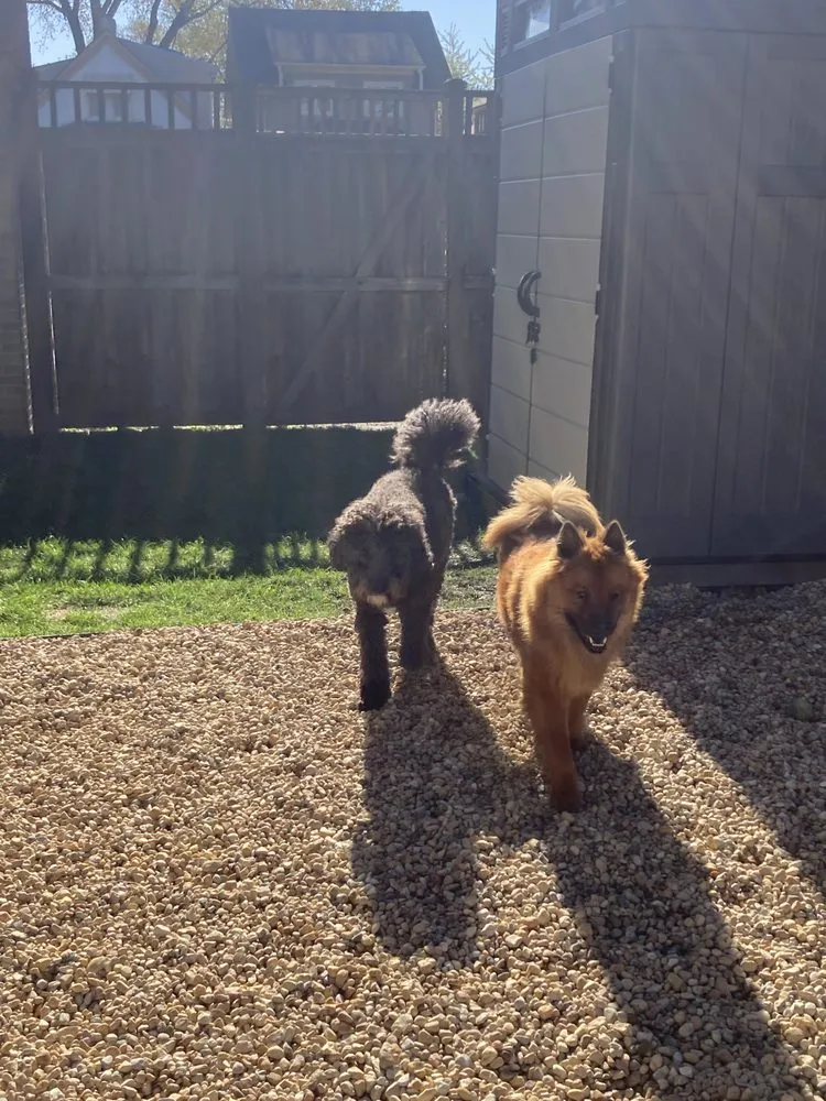 Expert lawn care service for year-round maintenance across Aurora, IL - A Quest Landscape