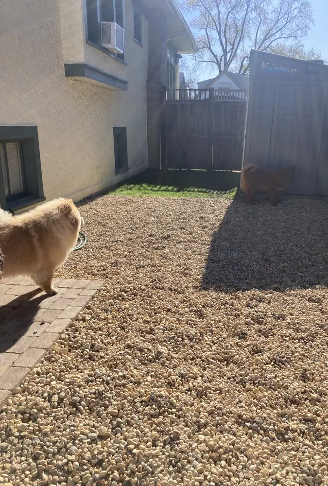 Professional yard cleanup service in Aurora, IL - A Quest Landscape