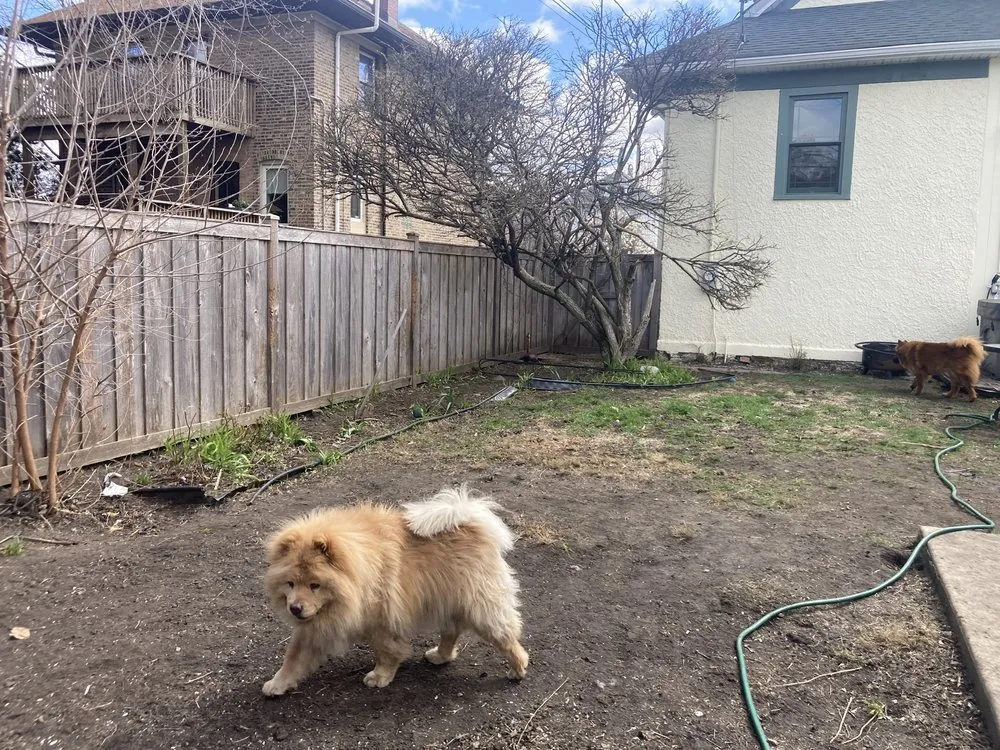 Expert yard maintenance in Aurora, IL - A Quest Landscape