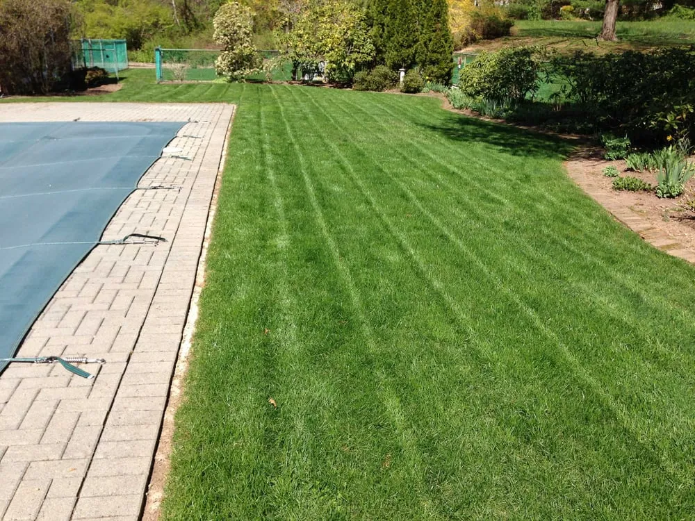 Trusted yard cleanup service in Randolph, NJ by A Quick Cut Landscaping