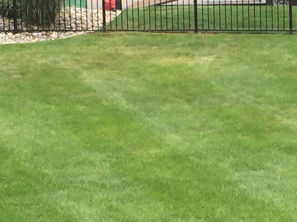 Custom lawn care service experts serving Randolph, NJ - A Quick Cut Landscaping