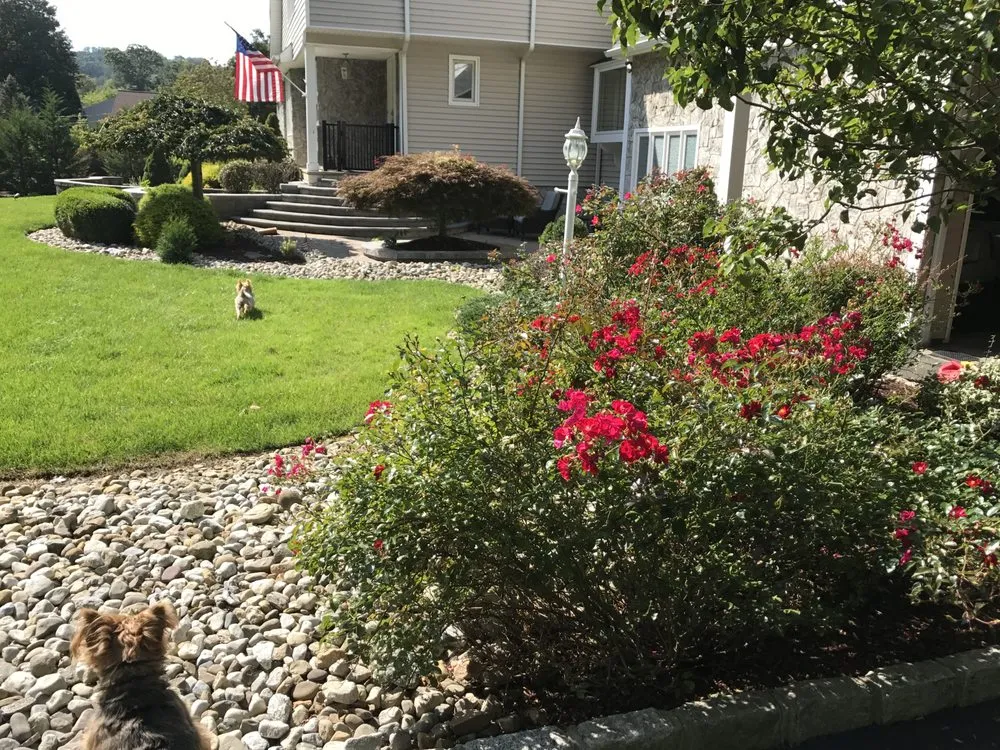 Trusted yard maintenance in Randolph, NJ - A Quick Cut Landscaping