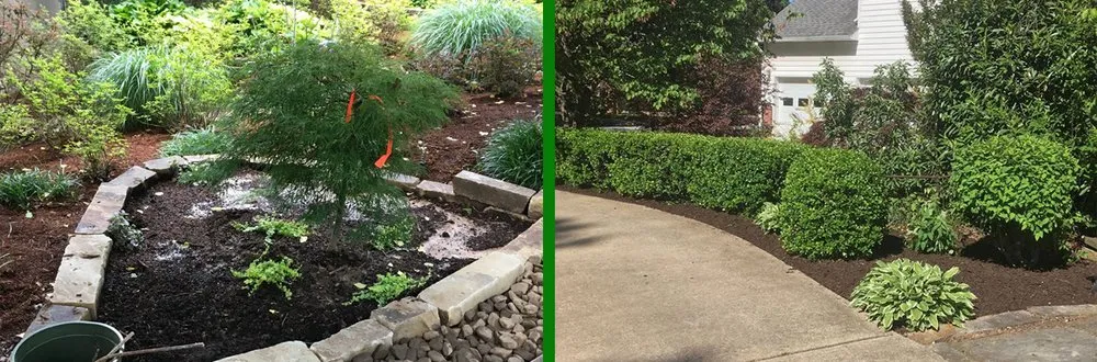 Top-rated lawn mowing service in Pea Ridge, AR by A R & E Lawn Care