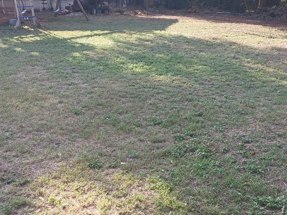 Local lawn mowing service for homes in Floresville, TX by A R Averill