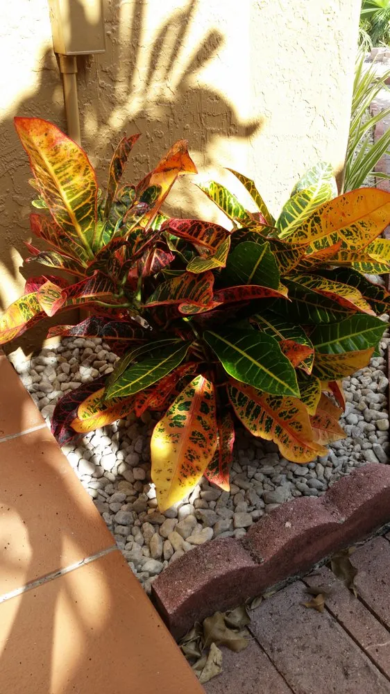 Top-rated lawn mowing service experts serving Miami, FL - A R Lawn Service