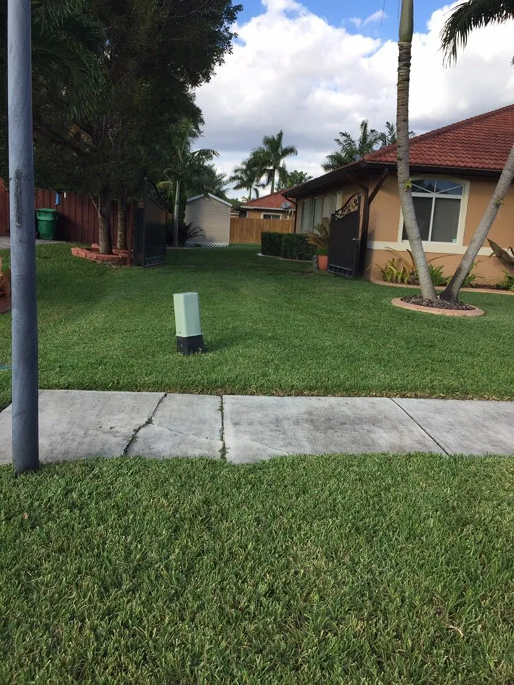 Reliable residential landscaping in Miami, FL by A R Lawn Service