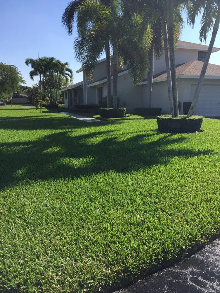 Trusted landscaping services for residential properties in Miami, FL by A R Lawn Service