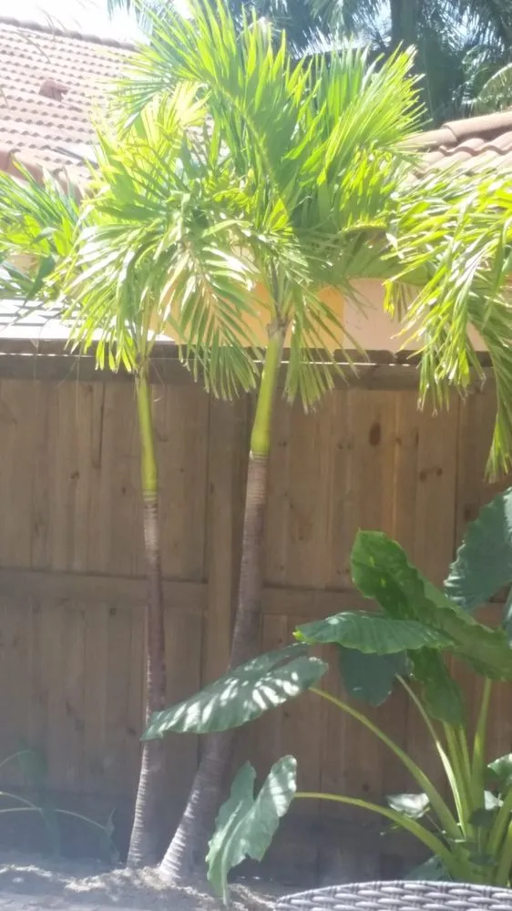 Expert landscaping services for year-round maintenance across Miami, FL - A R Lawn Service