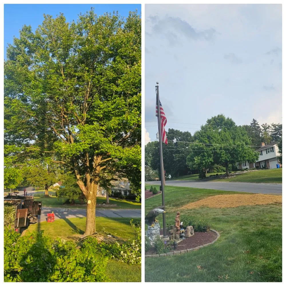 Professional yard maintenance for beautiful yards across Boyertown, PA - A R Shane Hardscapes