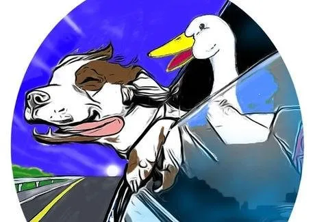 Top-rated yard cleanup service for year-round maintenance in Lubbock, TX by A R U People Helping People