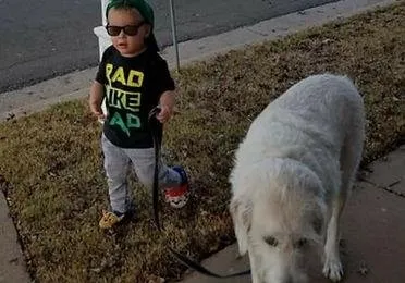 Affordable lawn care service in Lubbock, TX by A R U People Helping People