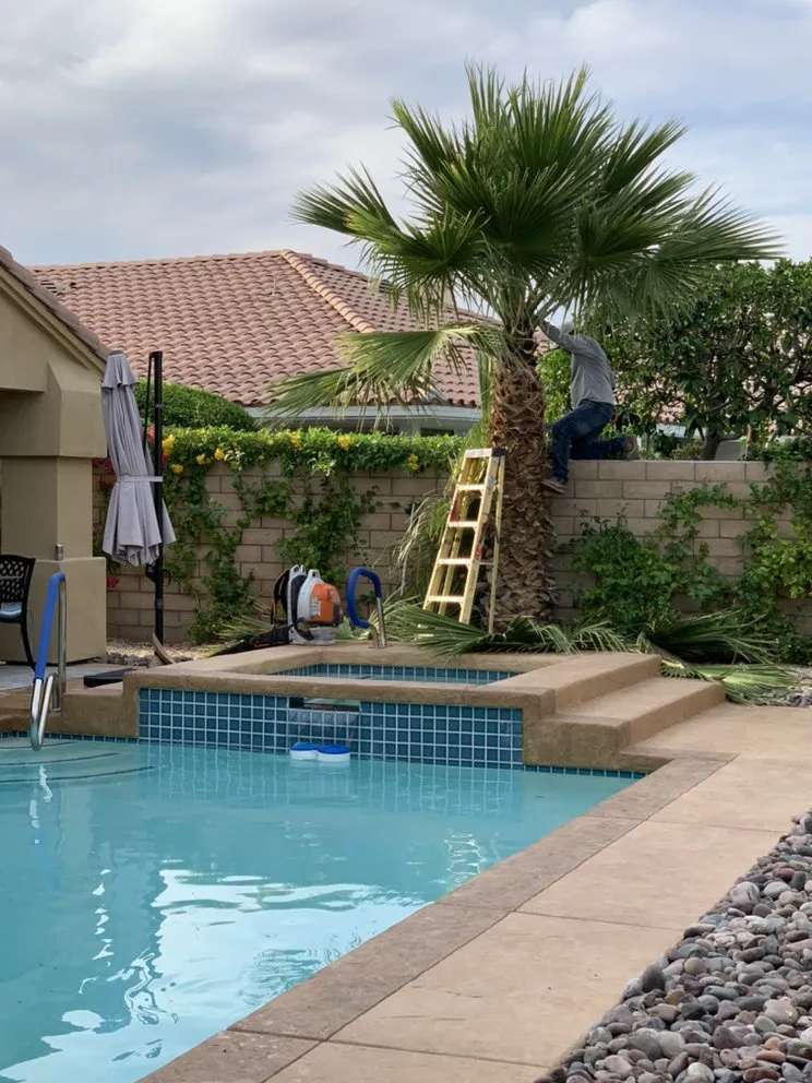 Professional yard maintenance in Cathedral City, CA by A Ramirez Gardening and Landscaping